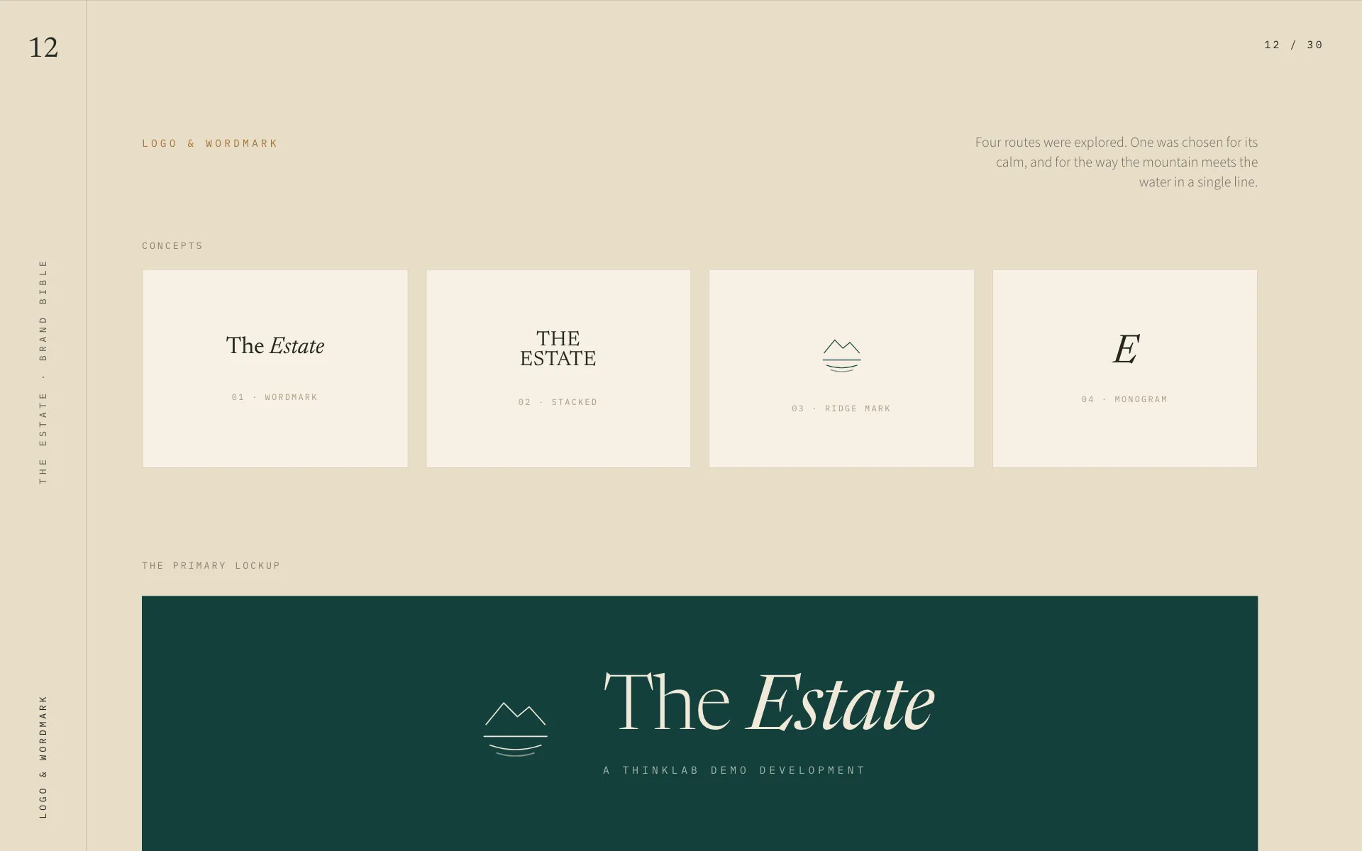 The demo development: mark and wordmark