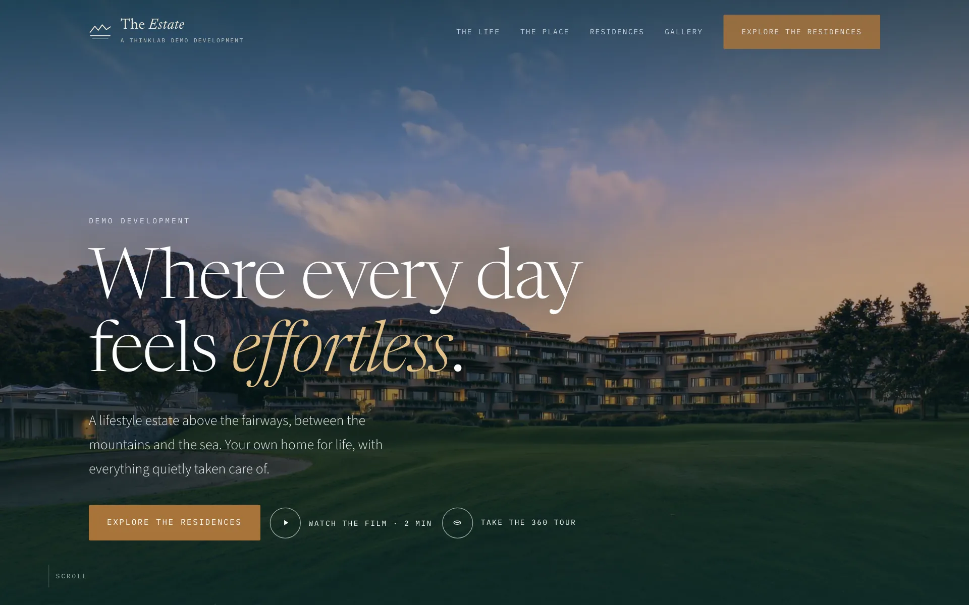 The demo development: the development website